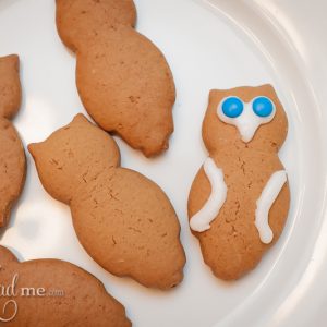 The Joy of Gingerbread (and the Blonde Gingerbread Cookie)